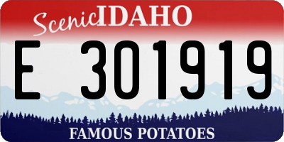 ID license plate E301919