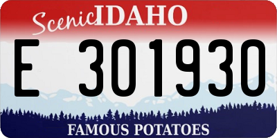 ID license plate E301930