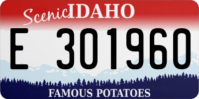 ID license plate E301960