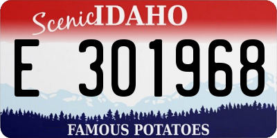 ID license plate E301968