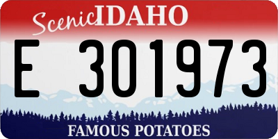 ID license plate E301973