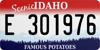 ID license plate E301976