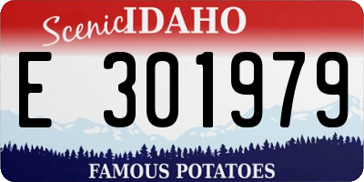 ID license plate E301979