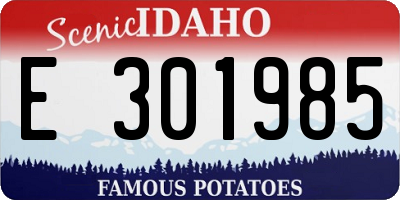 ID license plate E301985