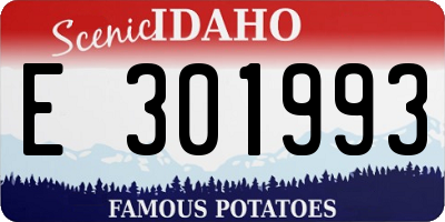 ID license plate E301993