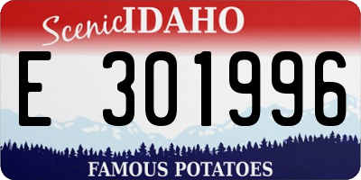 ID license plate E301996