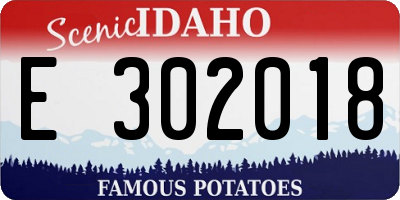 ID license plate E302018