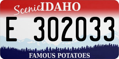 ID license plate E302033
