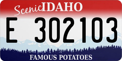 ID license plate E302103