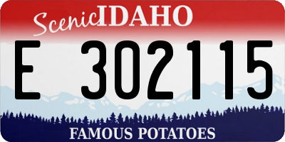 ID license plate E302115