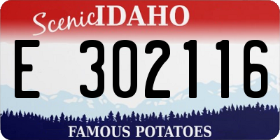 ID license plate E302116