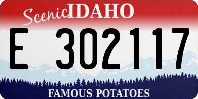 ID license plate E302117