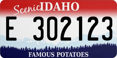 ID license plate E302123