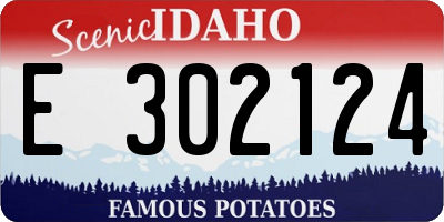 ID license plate E302124
