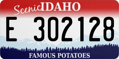ID license plate E302128