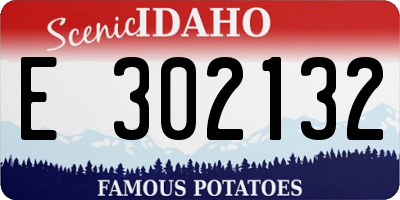 ID license plate E302132