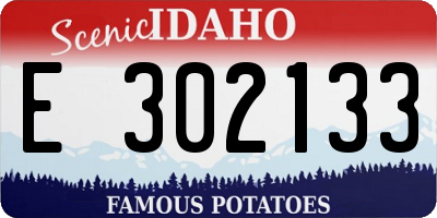 ID license plate E302133