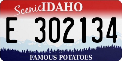 ID license plate E302134