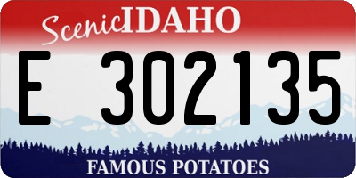 ID license plate E302135