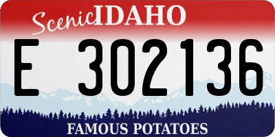 ID license plate E302136