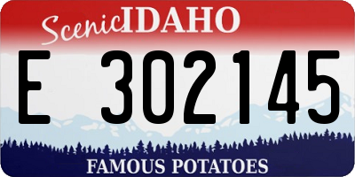 ID license plate E302145