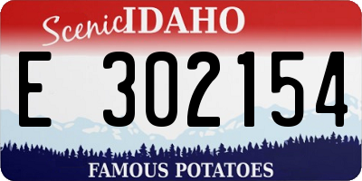 ID license plate E302154
