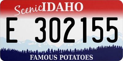 ID license plate E302155