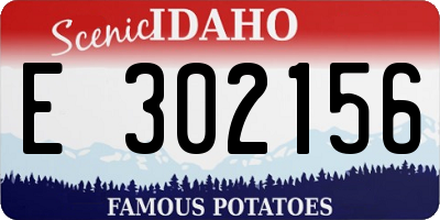 ID license plate E302156