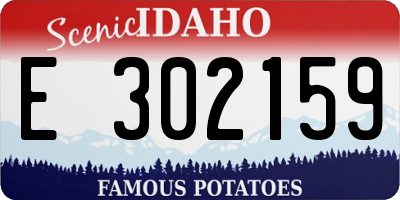 ID license plate E302159