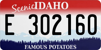 ID license plate E302160