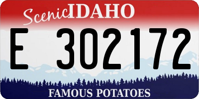 ID license plate E302172