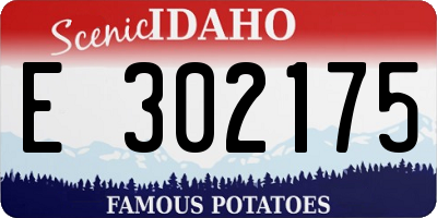 ID license plate E302175