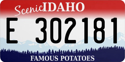 ID license plate E302181