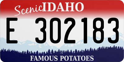 ID license plate E302183