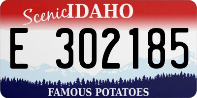 ID license plate E302185