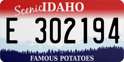 ID license plate E302194
