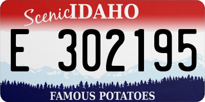 ID license plate E302195
