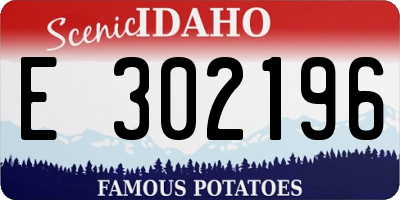 ID license plate E302196
