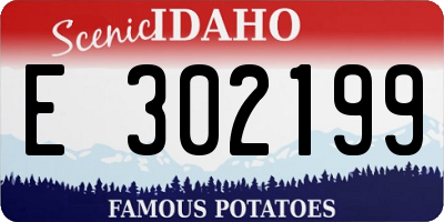 ID license plate E302199