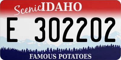 ID license plate E302202