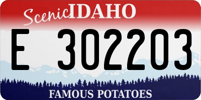 ID license plate E302203