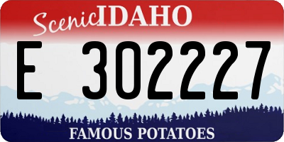 ID license plate E302227