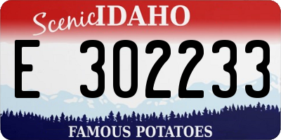 ID license plate E302233