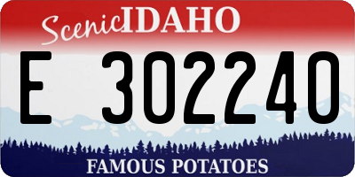 ID license plate E302240