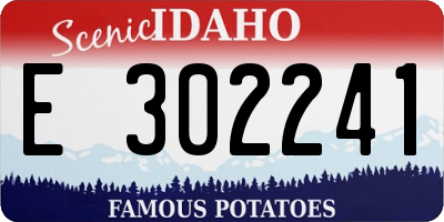 ID license plate E302241