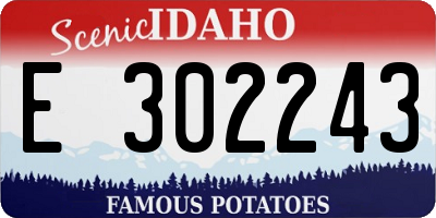 ID license plate E302243