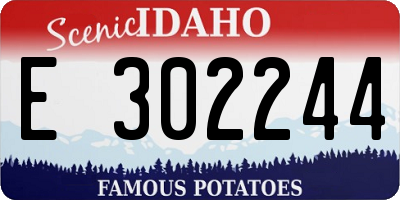 ID license plate E302244