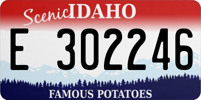 ID license plate E302246