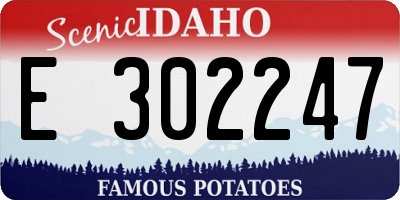 ID license plate E302247