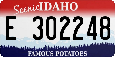 ID license plate E302248